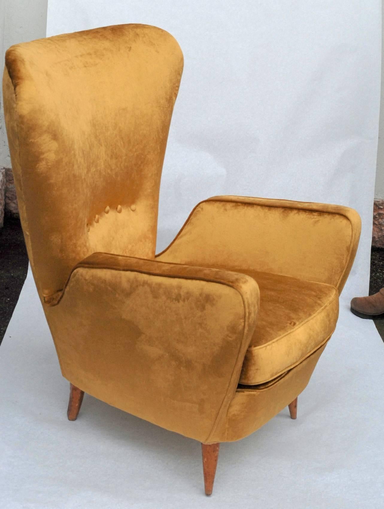 Mid-Century Modern Sala Madini for Galimberti Cantu Armchair 1950s, Fully Restored, Gold Velvet