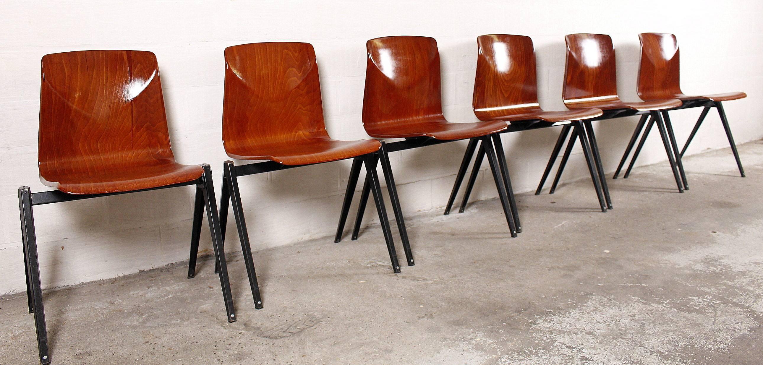 Mid-Century Modern Pagwood Chairs from Pagholz Flötotto, Set of Six