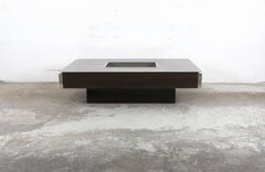Willy Rizzo Alveo Coffee Table