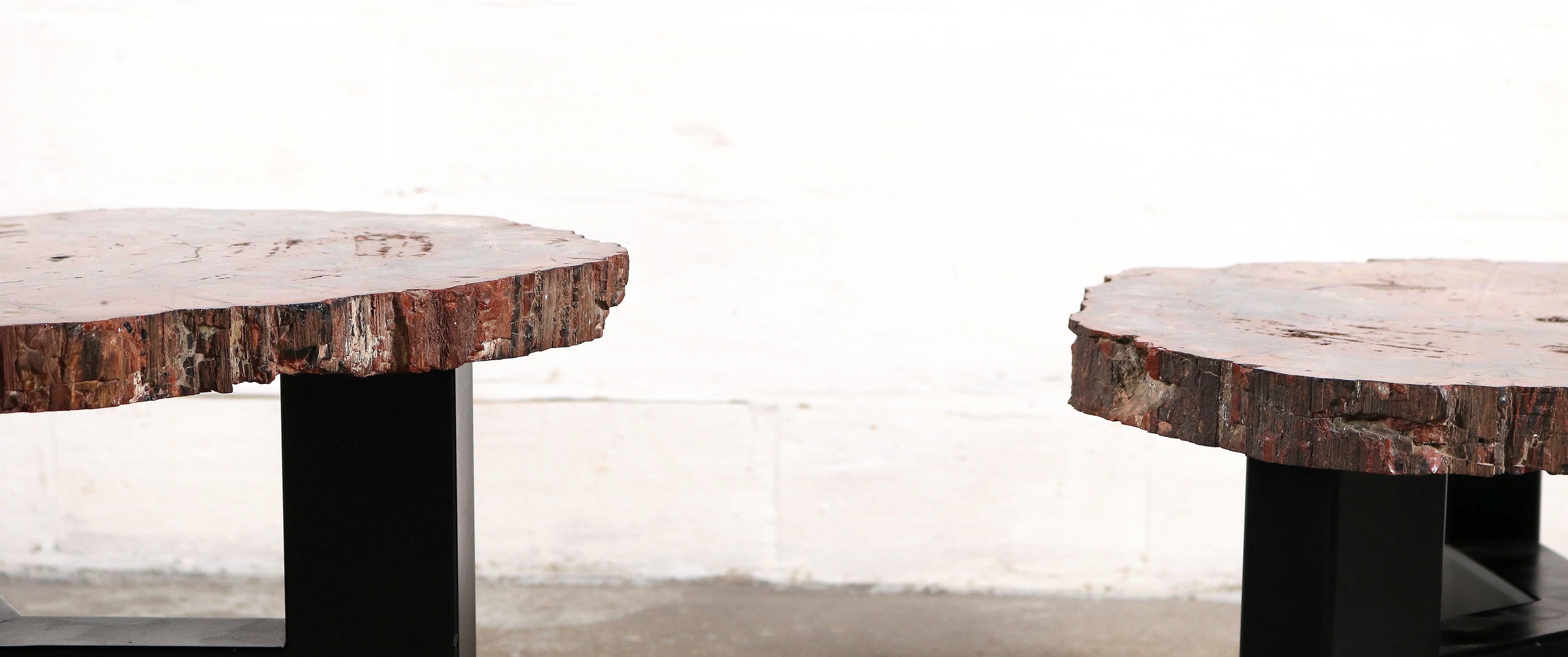 Petrified Wood Two Side Tables by Ado Chale For Sale