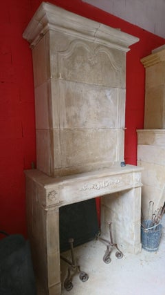 French Louis XVI Stone Fireplace with Trumeau and Fine Floral Sculptings