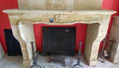 18th Century Louis XV Stone Fireplace with Trumeau and Sculpted Fleur-de-Lis
