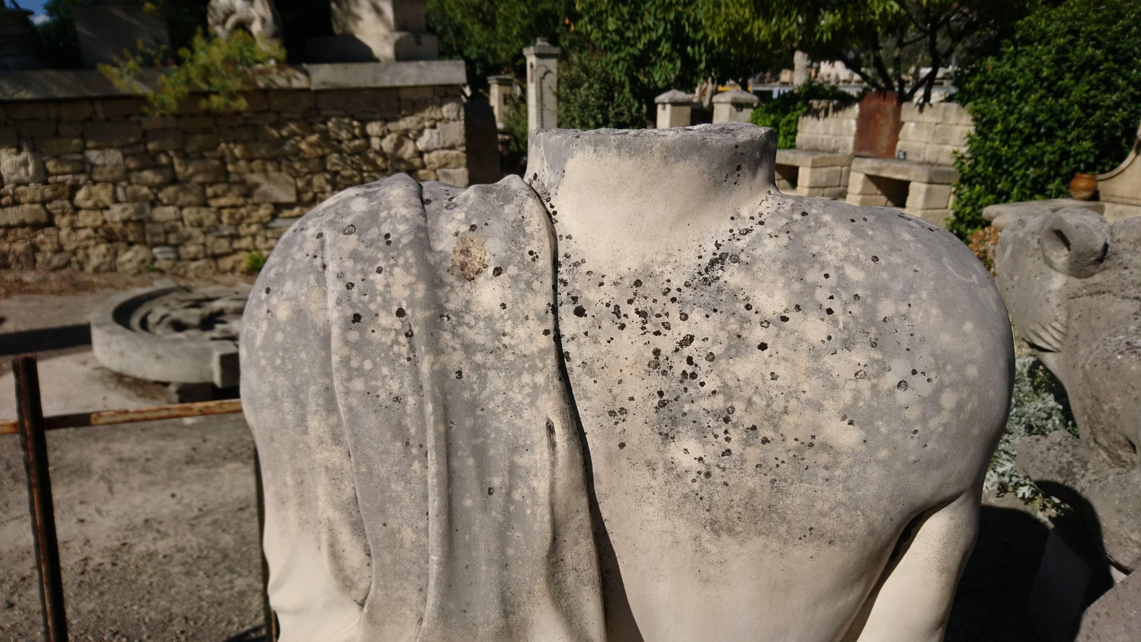 20th Century Hand-Carved Sculpture in Stone, Nude Man's Torso Provence, France For Sale