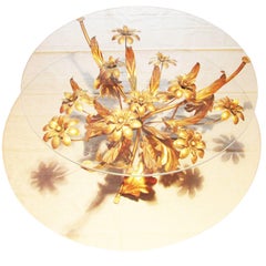 1960 Florentine Gilt Floral Coffee Table