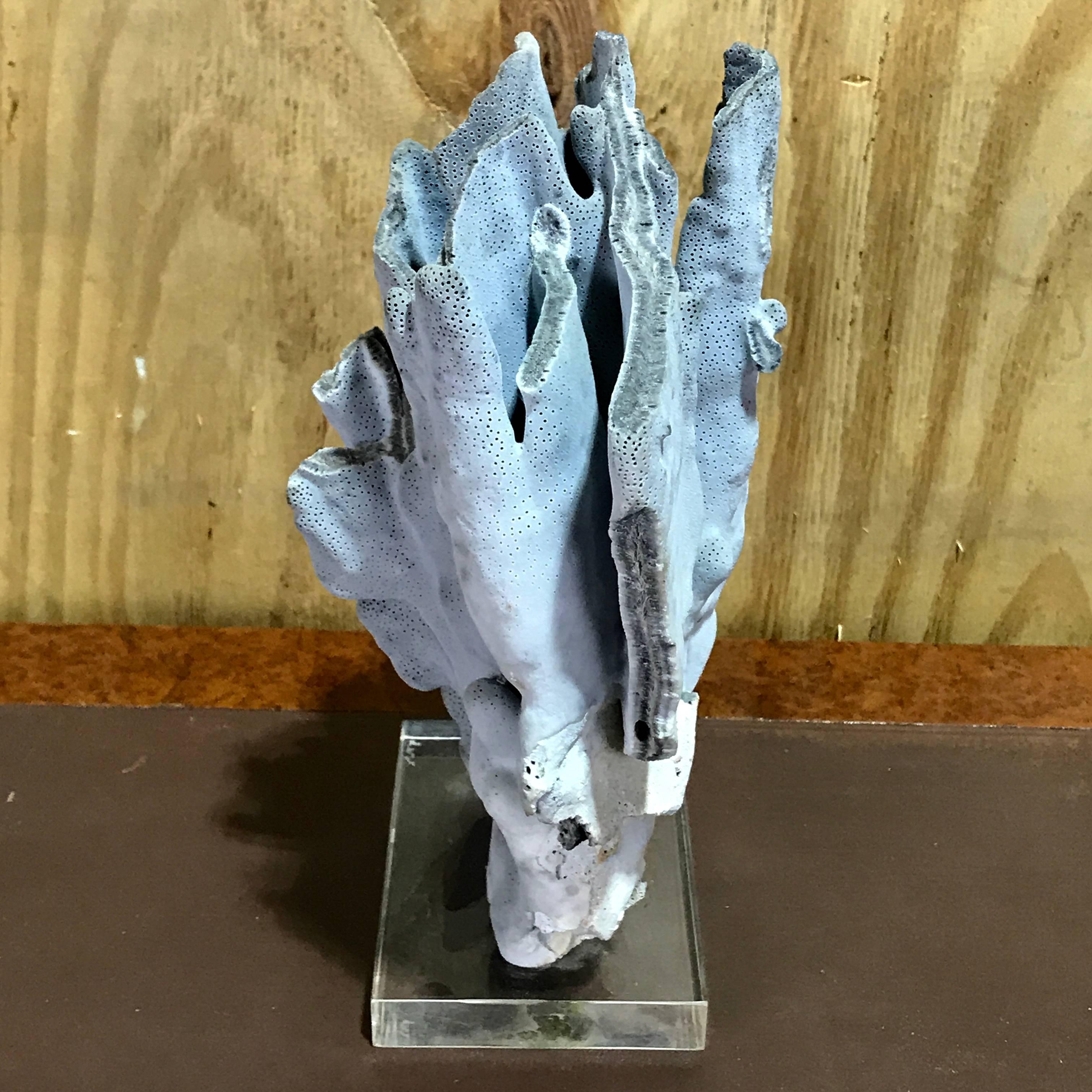 Mid-Century Modern Midcentury Organic Blue Coral Sculpture