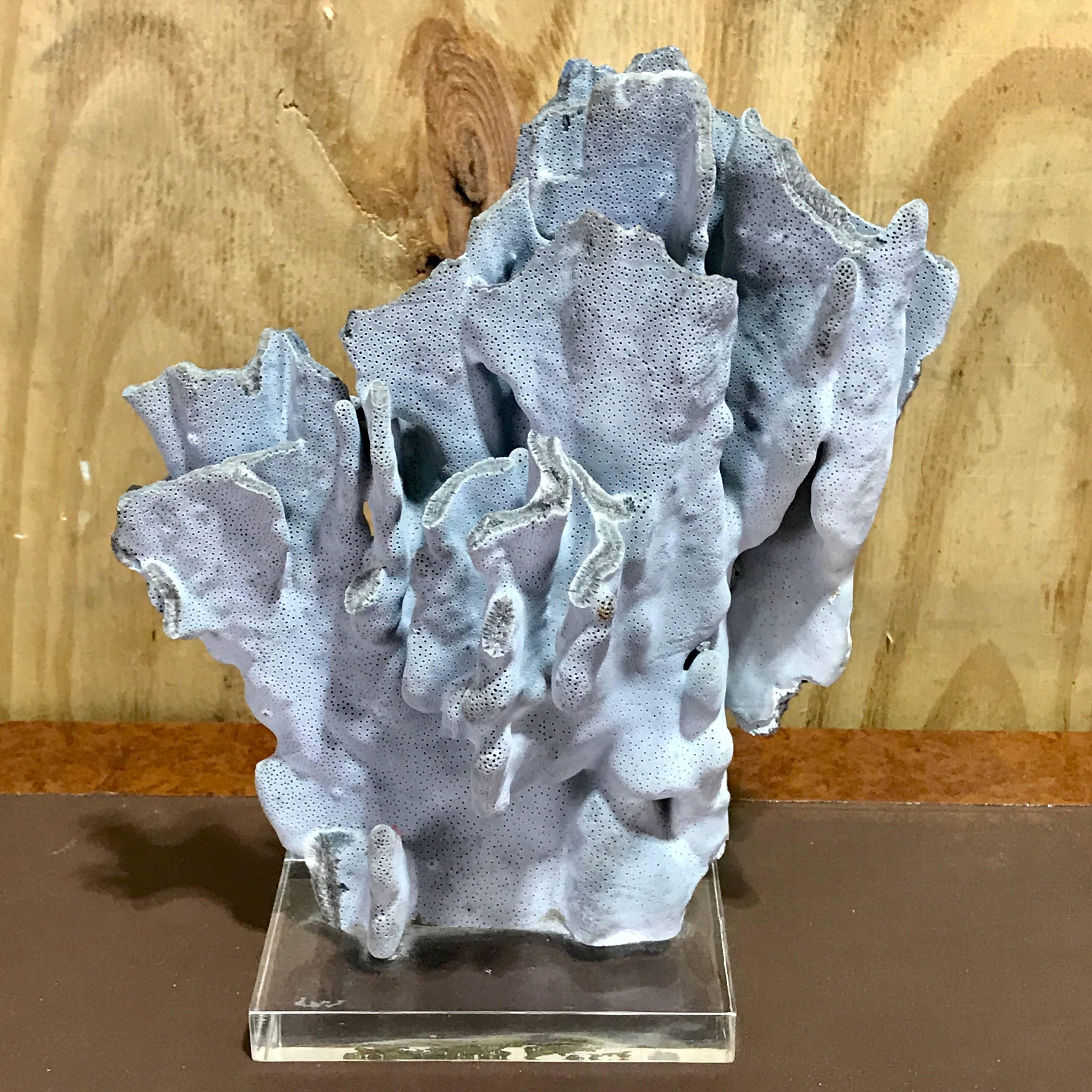 Midcentury Organic Blue Coral Sculpture In Excellent Condition In West Palm Beach, FL