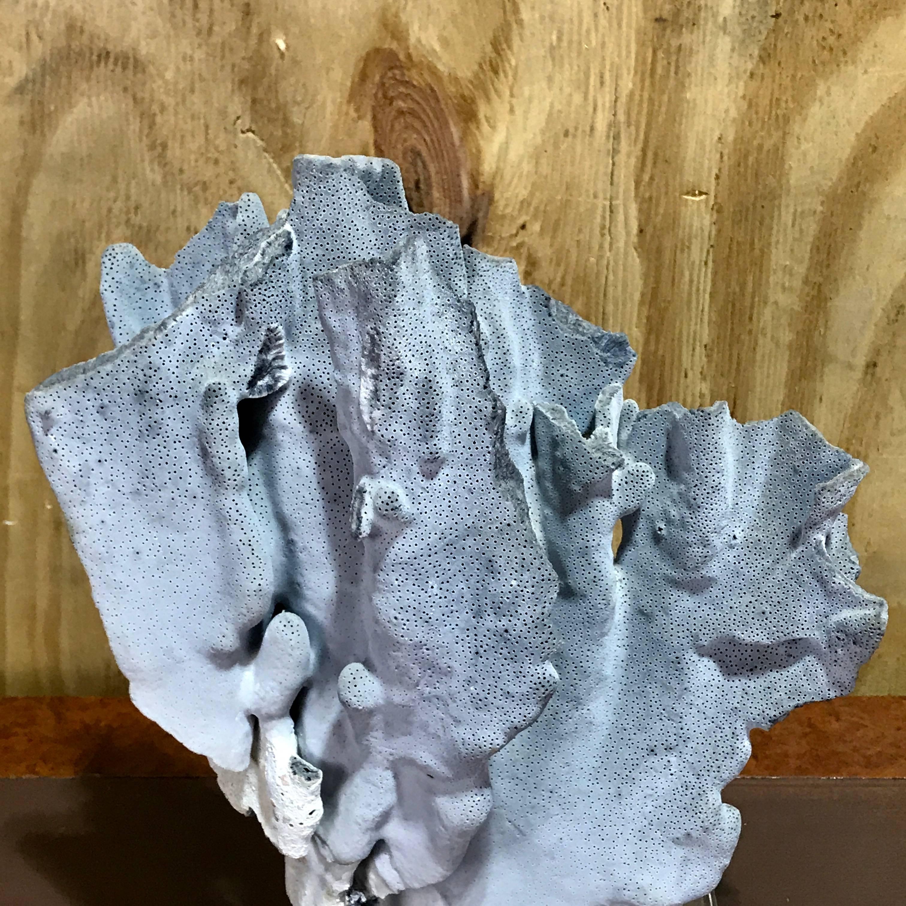 Midcentury organic blue coral sculpture, raised on a rectangular Lucite base. In excellent natural condition, refer to photos.