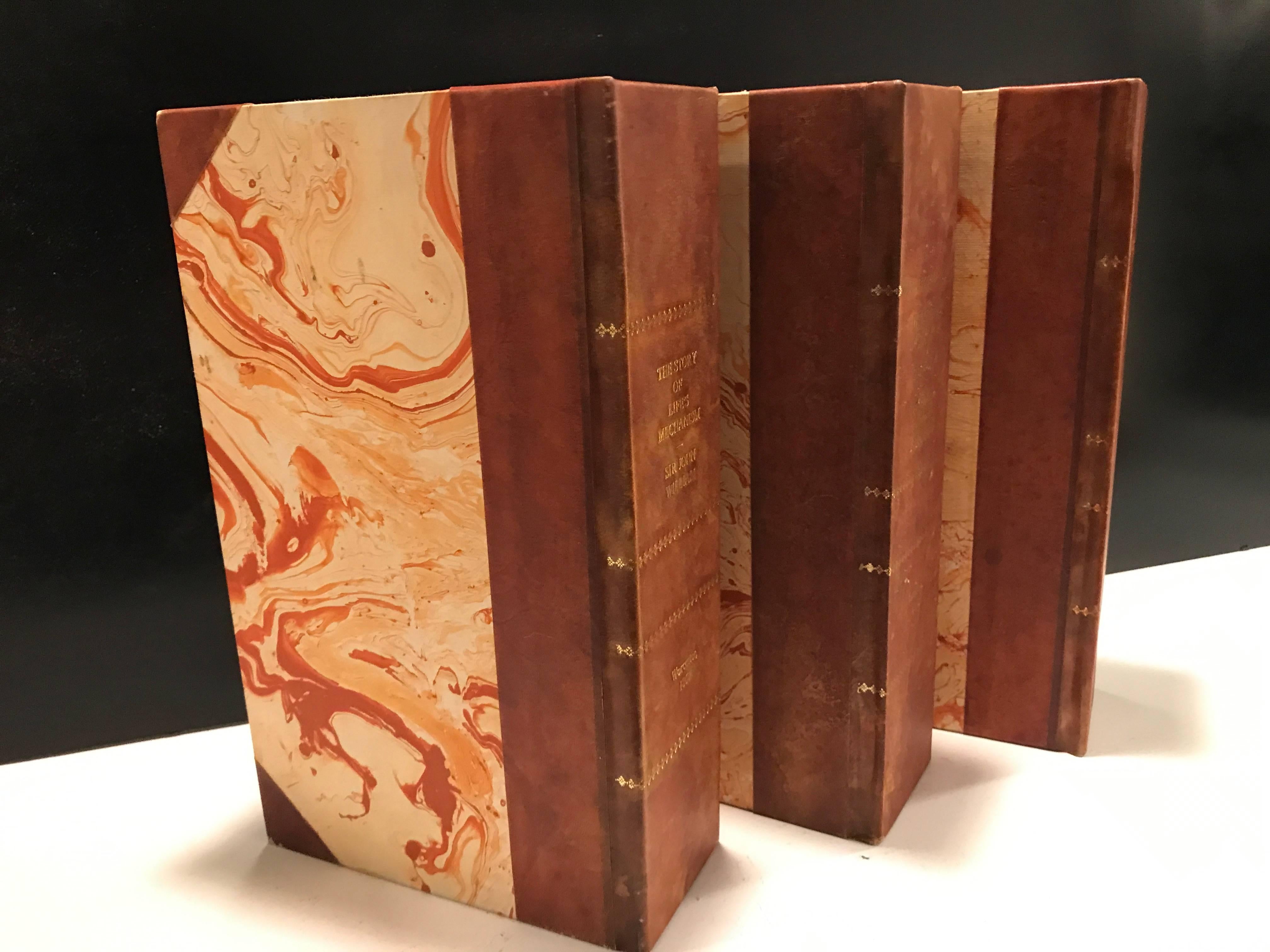 Gilt Nine Large Leather Bound Decorator Faux Books or Tomes