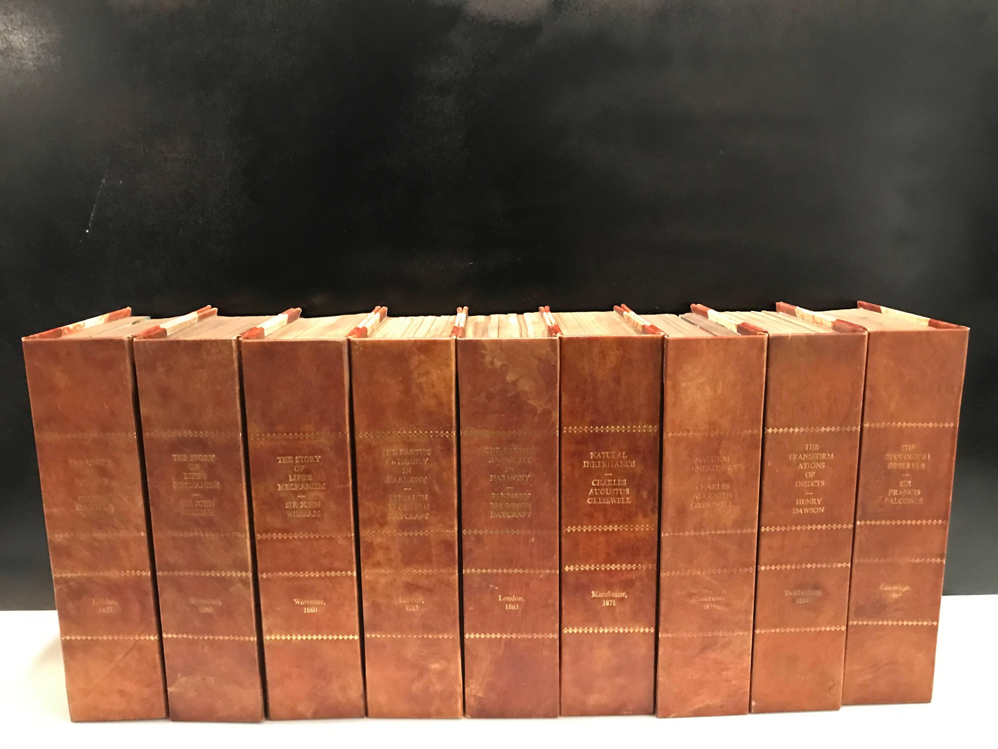 Nine large leather bound decorator faux books or tomes, each one with gilt lettering of titles, authors and year, with marbleized covers and simulated gilt pages, the books do not open. Each book measures 3 inches thick, 7.5