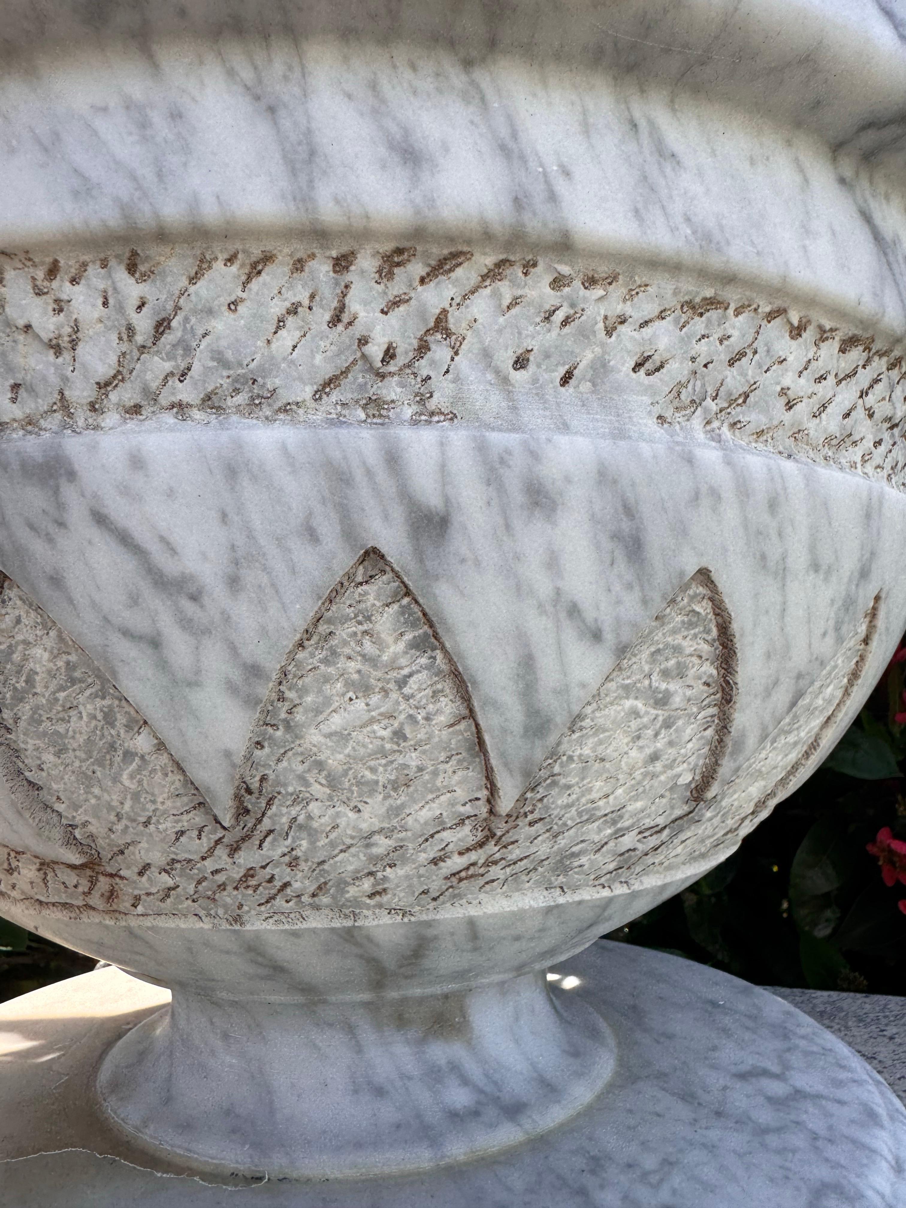 Pair of Italian Carved Marble Neoclassical Urns with Lotus Motif, Four Available im Angebot 11