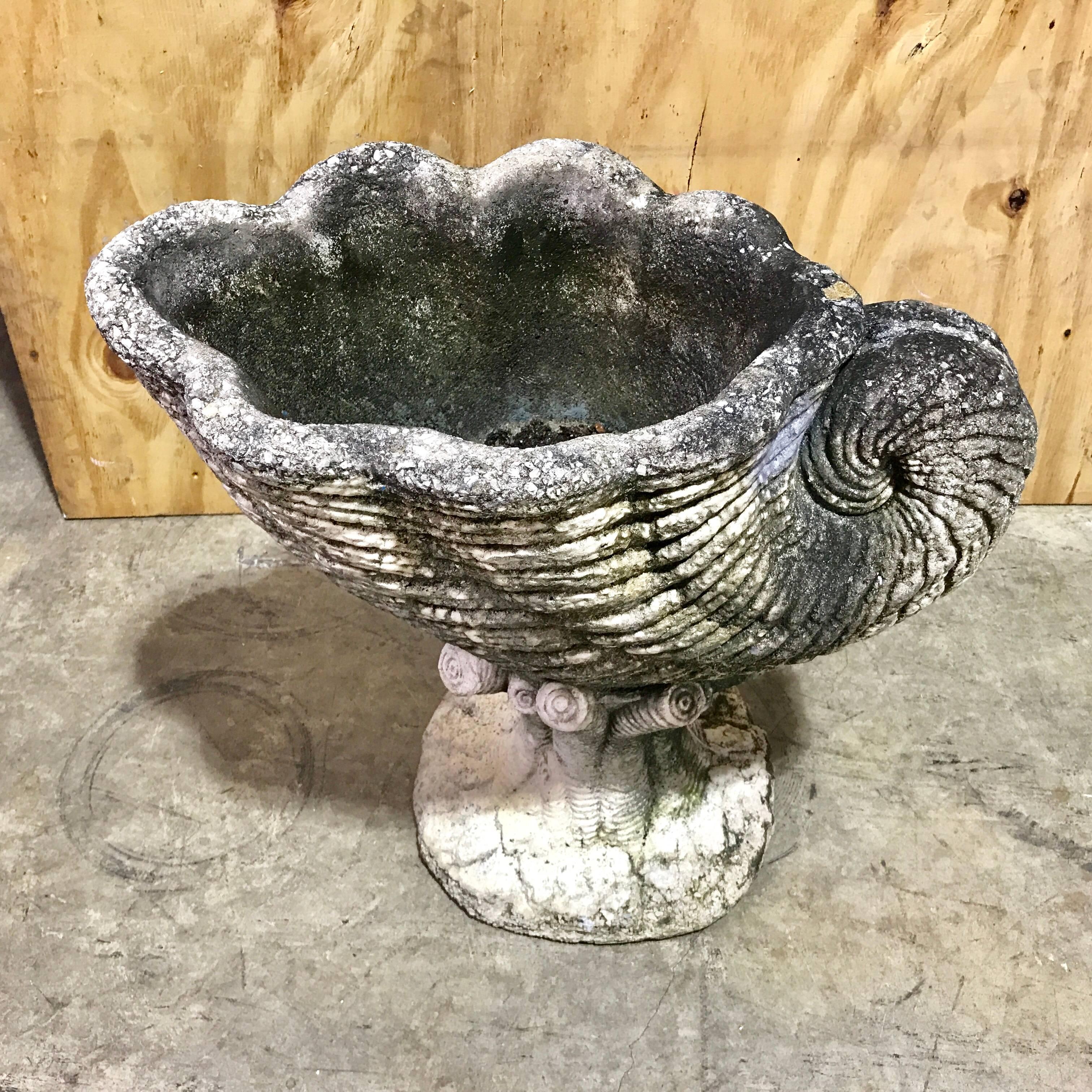 Vintage cast stone nautilus shell planter, raised on coral motif base.
Measures: The interior of the shell planter is 15