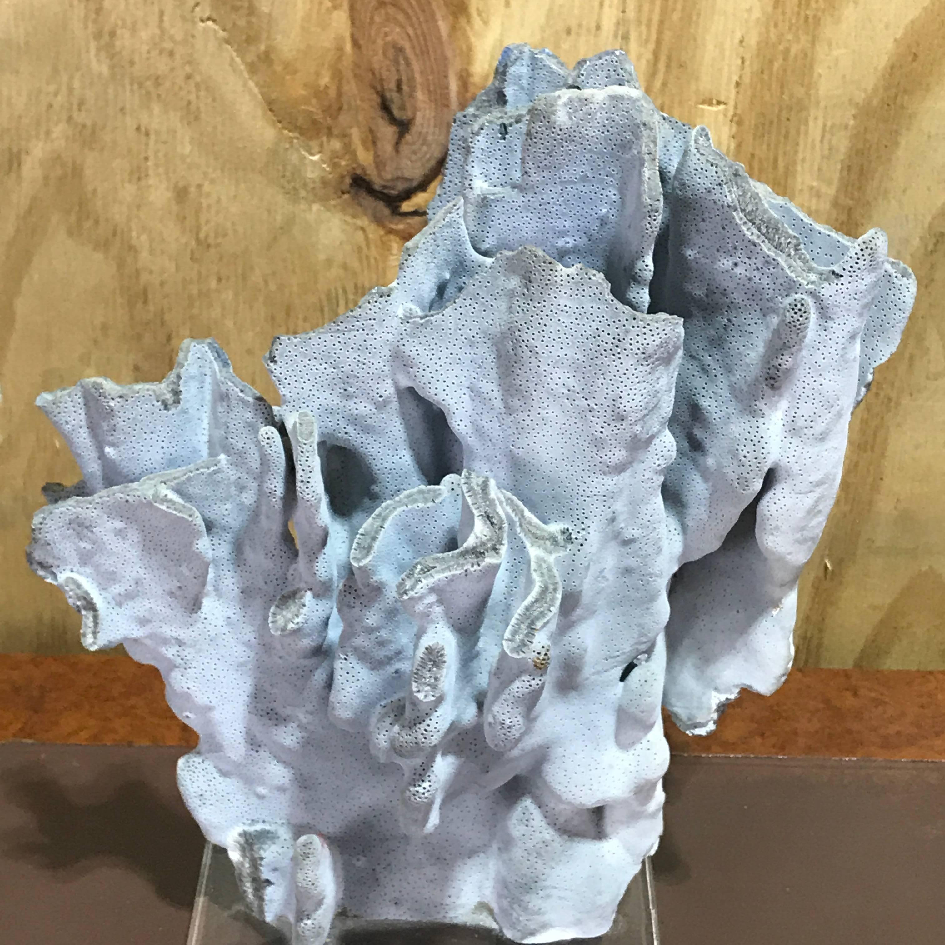20th Century Midcentury Organic Blue Coral Sculpture
