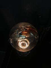 Space Age-Tischlampe aus Muranoglas von Toni Zuccheri für Venini, um 1960