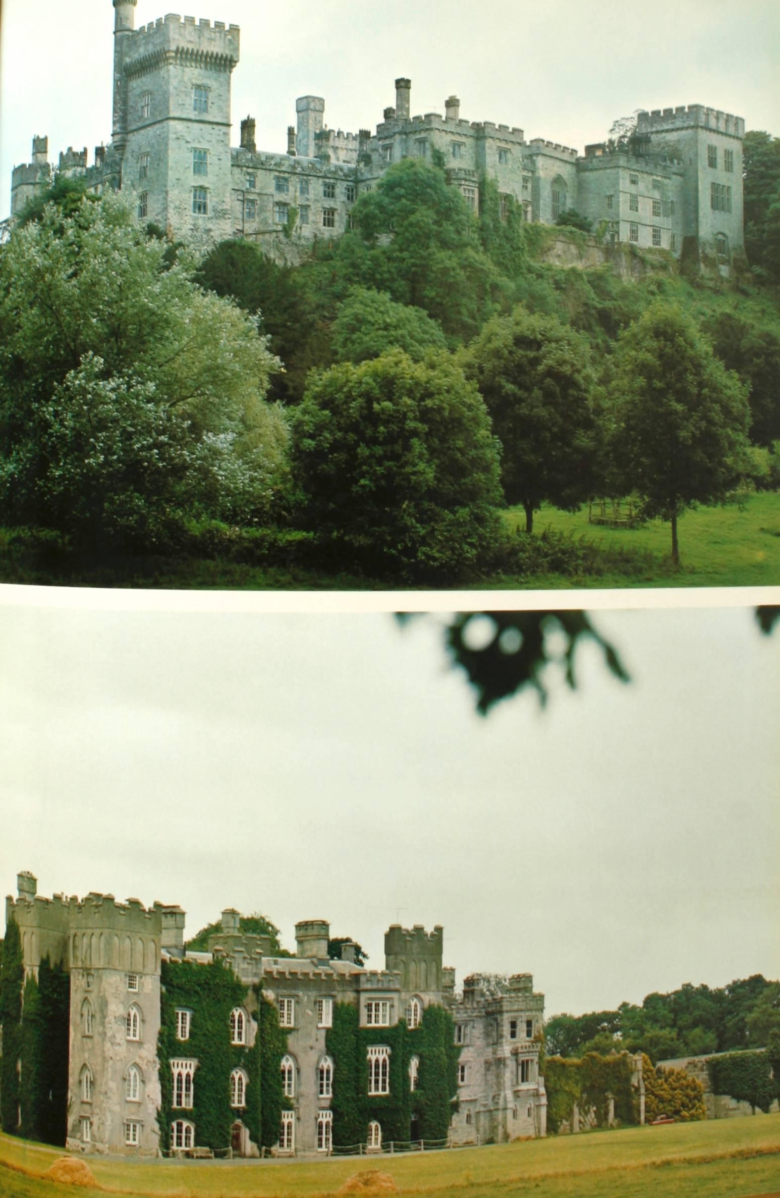 Américain Maisons et châteaux irlandais par Desmond Guinness en vente