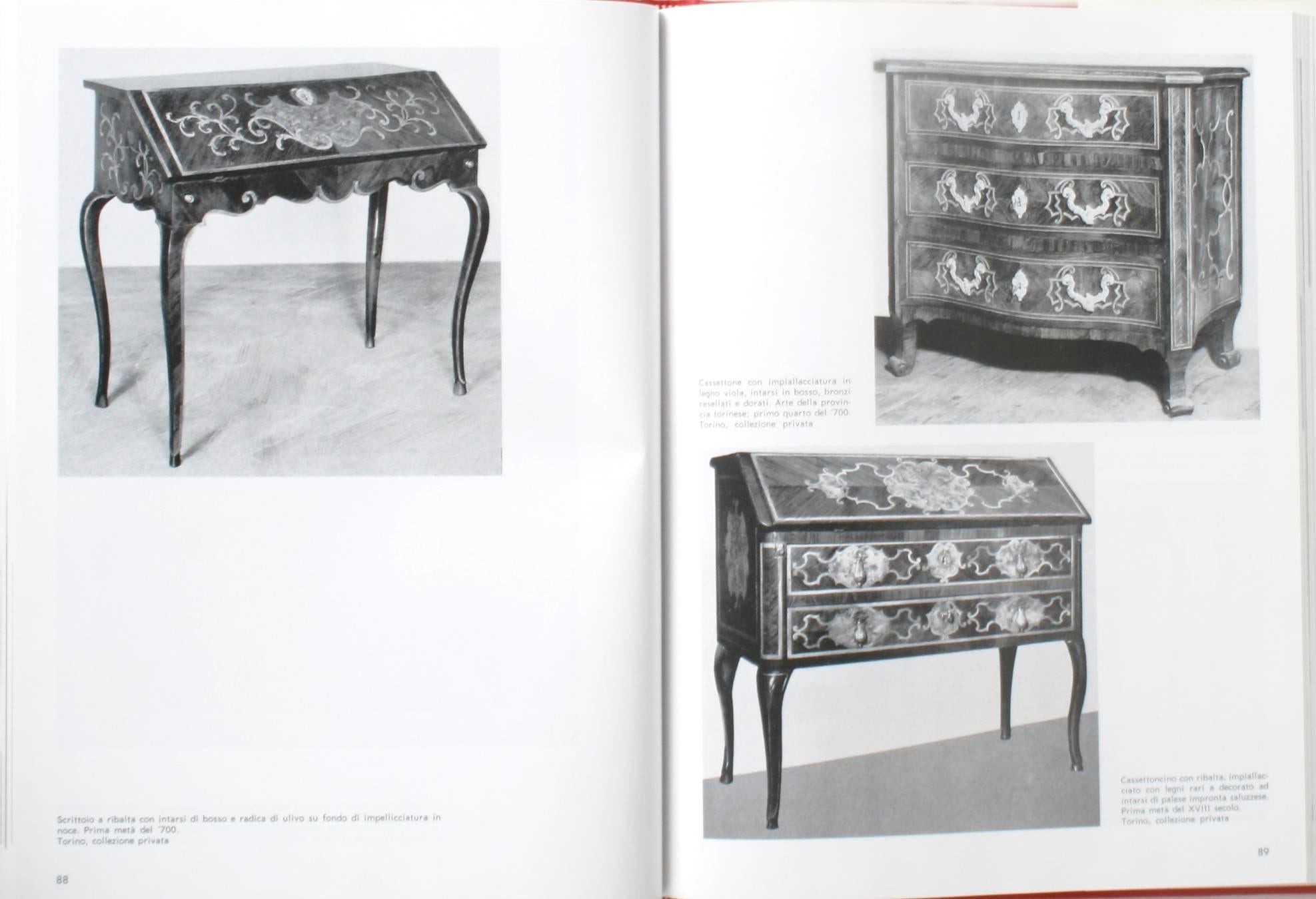 20th Century Piedmontese Furniture, First Edition For Sale