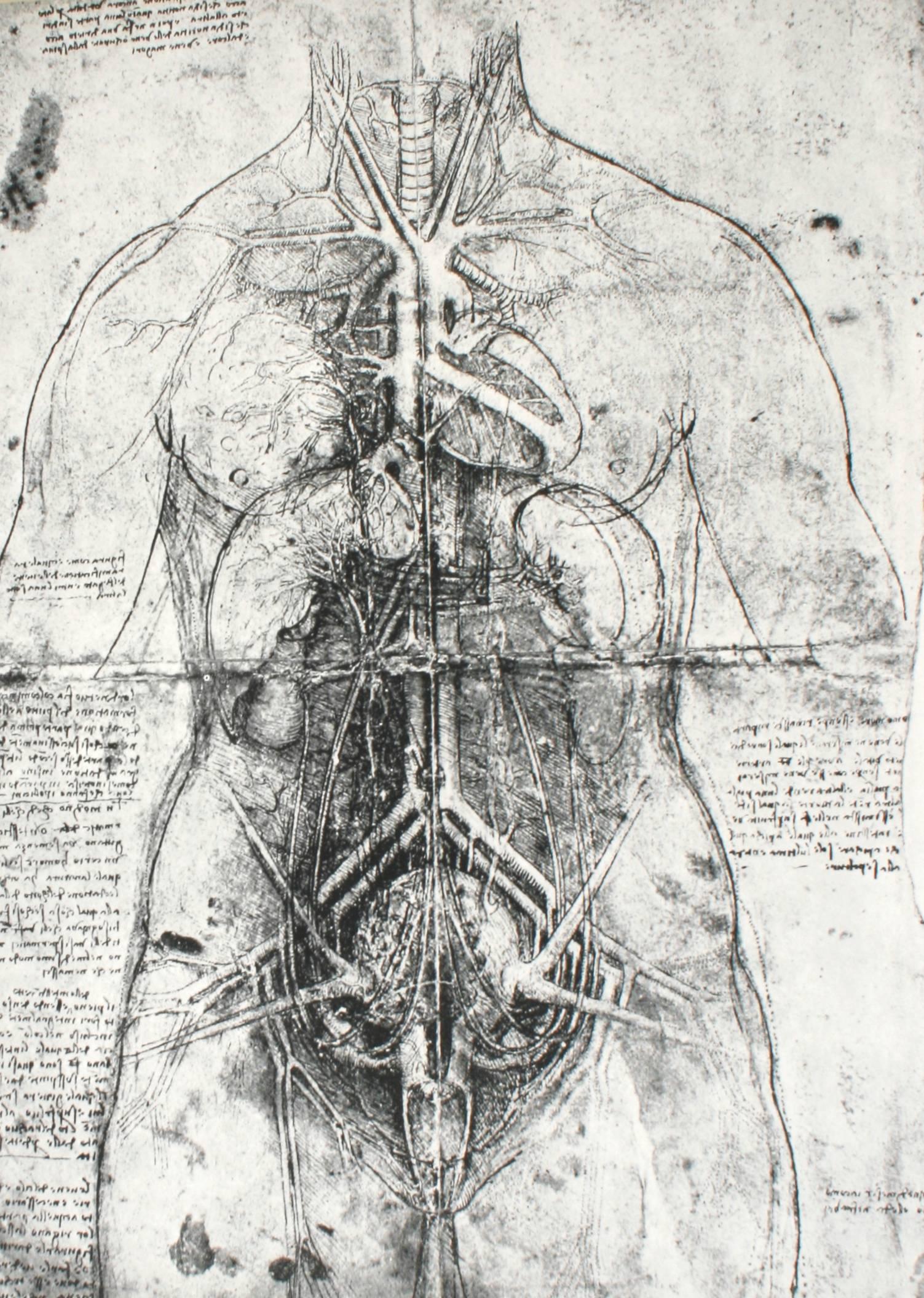 Anatomy as Art by Mario Bucci In Good Condition For Sale In valatie, NY