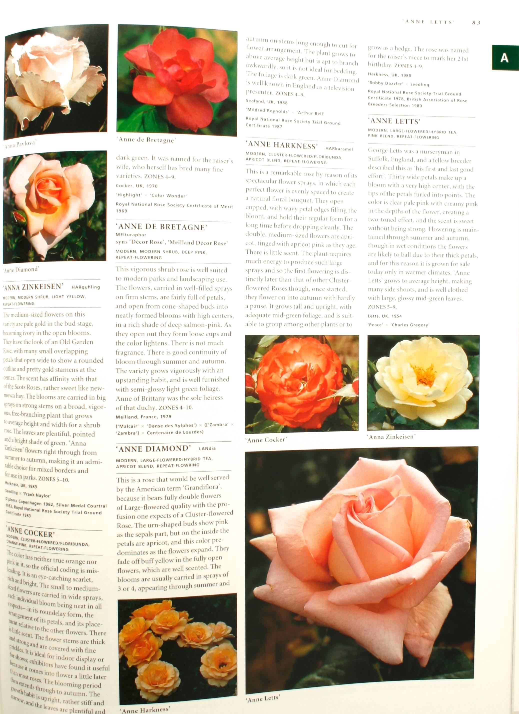 Botanica's Roses, The Encyclopedia of Roses 1