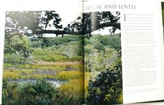 Garden Lover's Martha's Vineyard by C.L. Fornari, First Edition