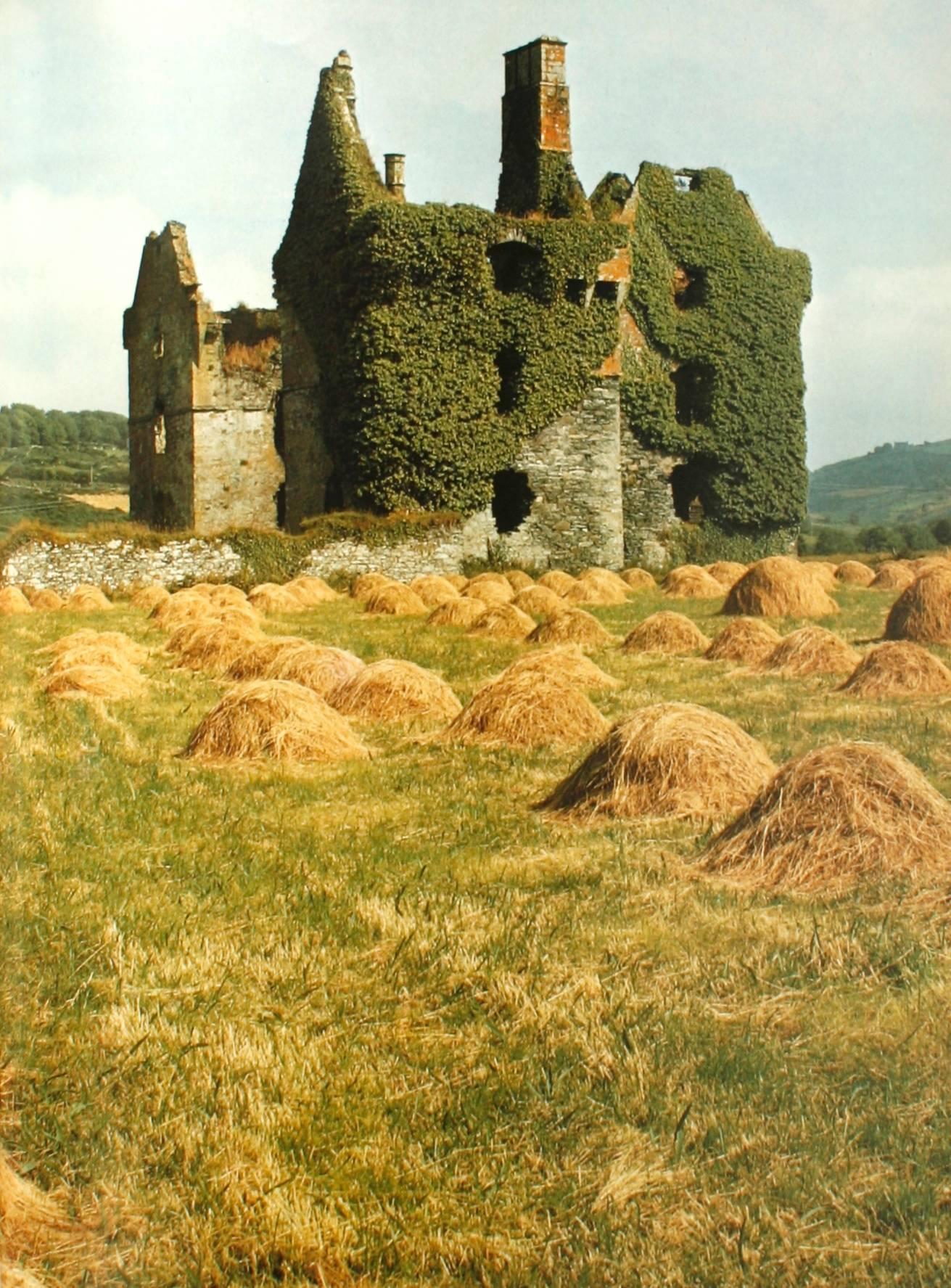 Houses of Ireland, First Edition 1