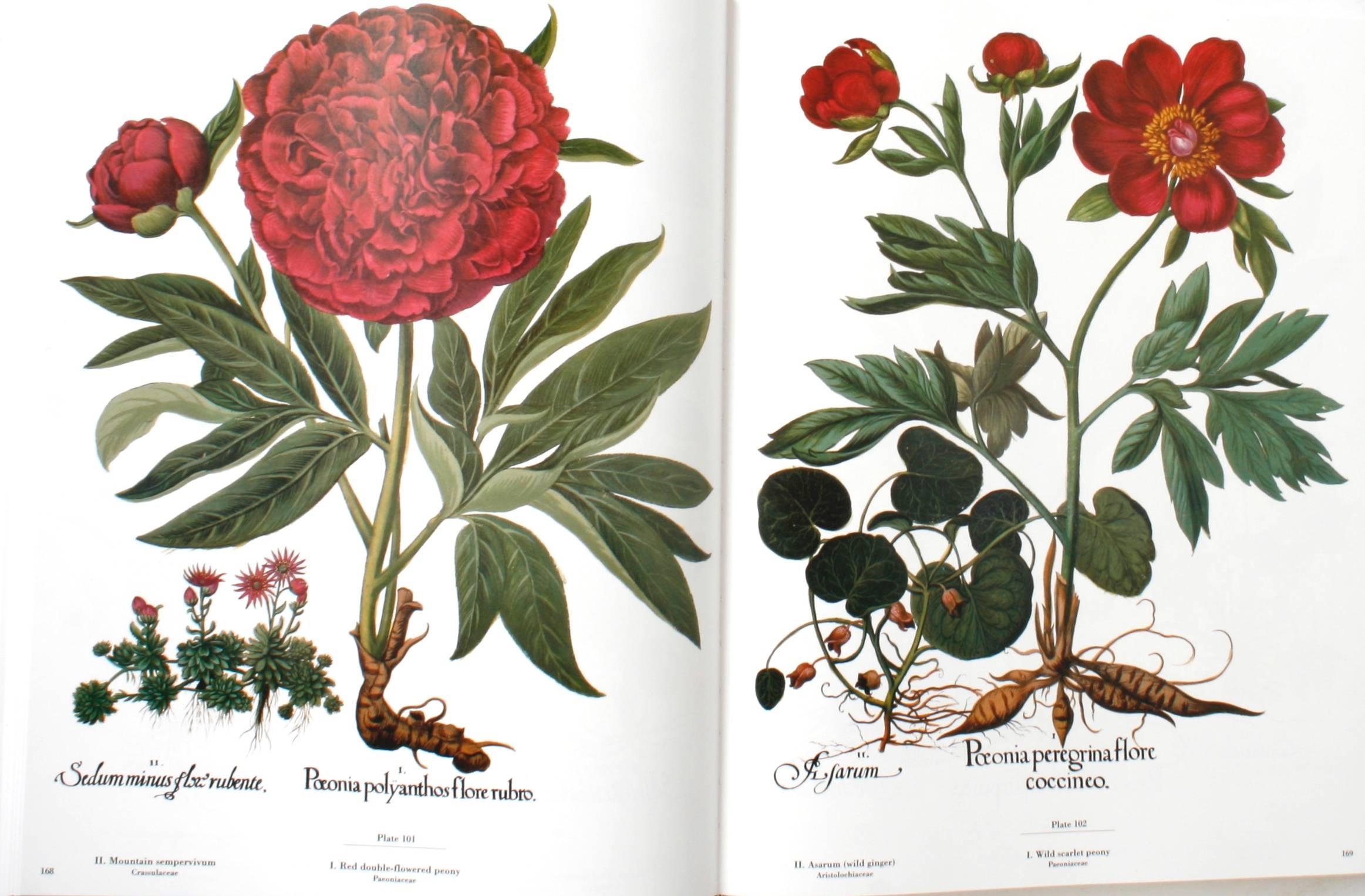 The Besler Florilegium: Plants of the Four Seasons, 1st Ed Thus In Excellent Condition In valatie, NY
