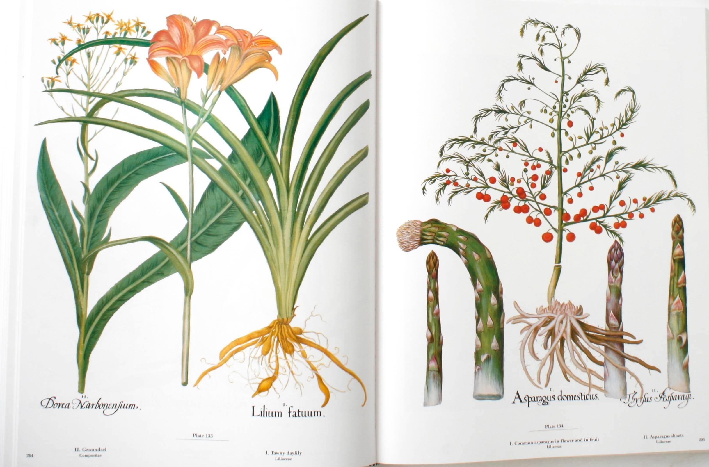 American The Besler Florilegium: Plants of the Four Seasons, 1st Ed Thus