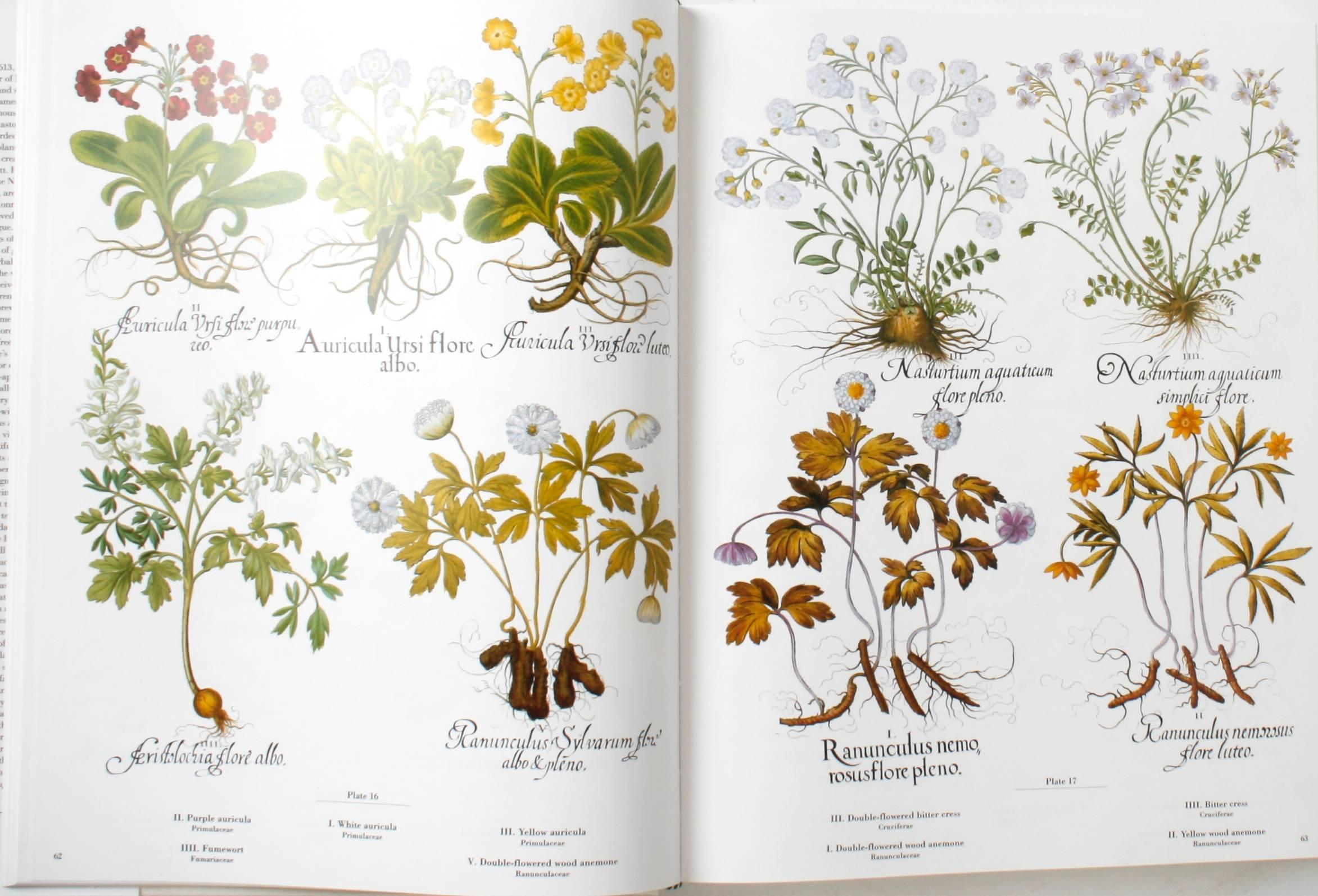 The Besler Florilegium: Plants of the Four Seasons by Gerard G. Aymonin, Eileen Finletter (Translator) and, Jean Ayer (Translator). Harry N. Abrams, NY, 1989. 1st Ed thus hardcover with dust jacket and hardcase. This is a facsimile of Besler's
