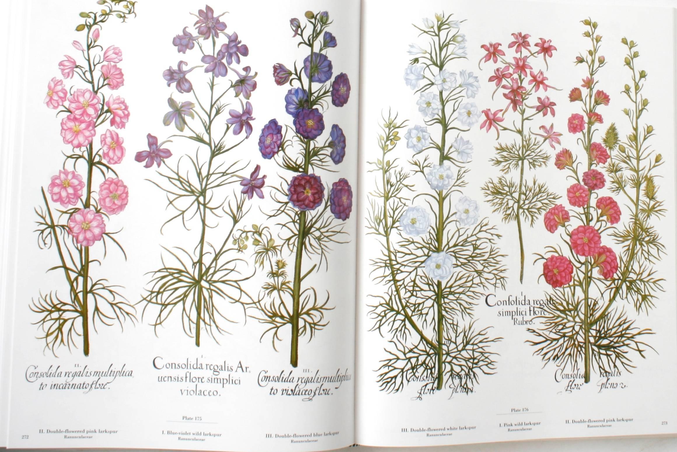 Late 20th Century The Besler Florilegium: Plants of the Four Seasons, 1st Ed Thus