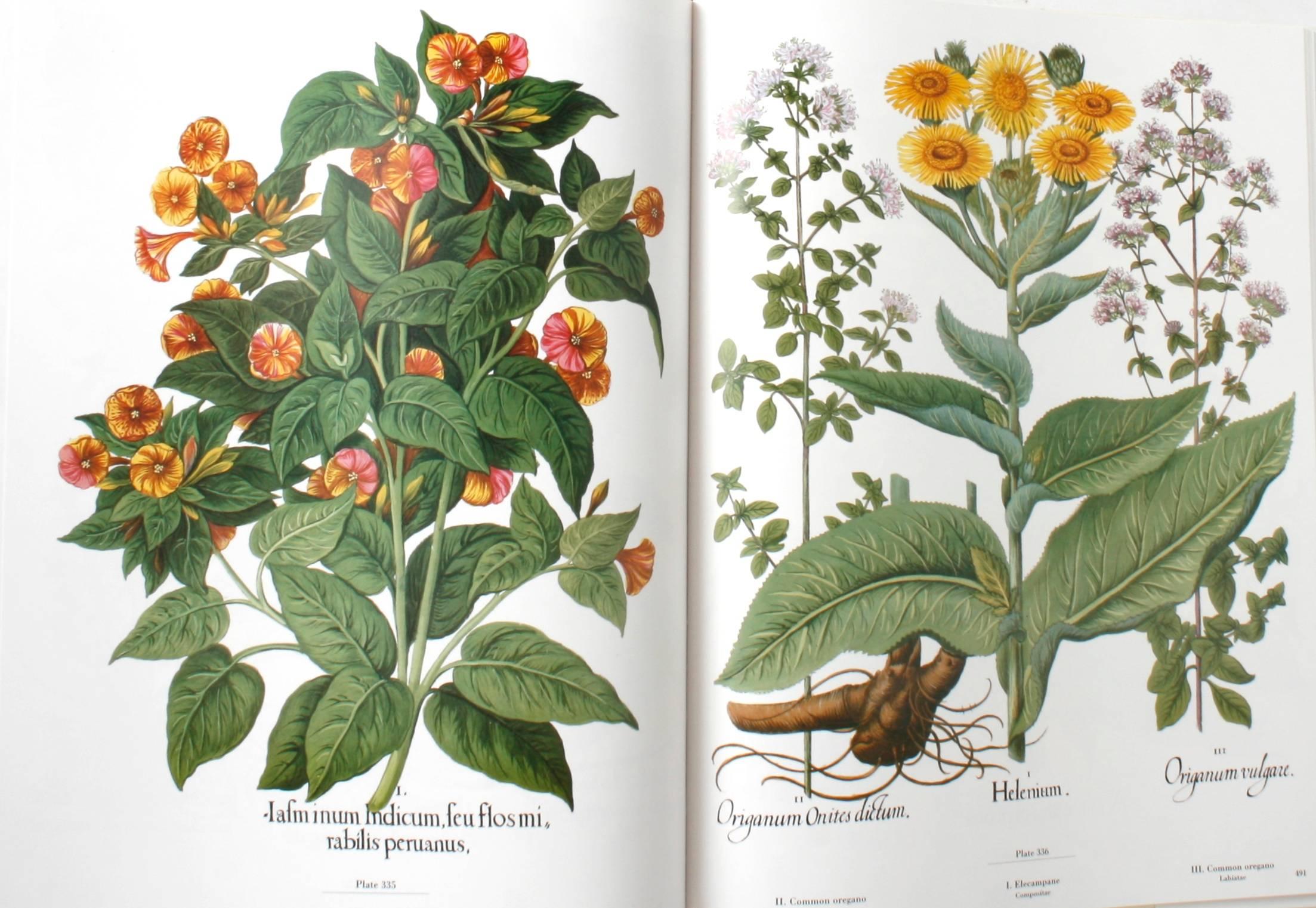 The Besler Florilegium: Plants of the Four Seasons, 1st Ed Thus 1