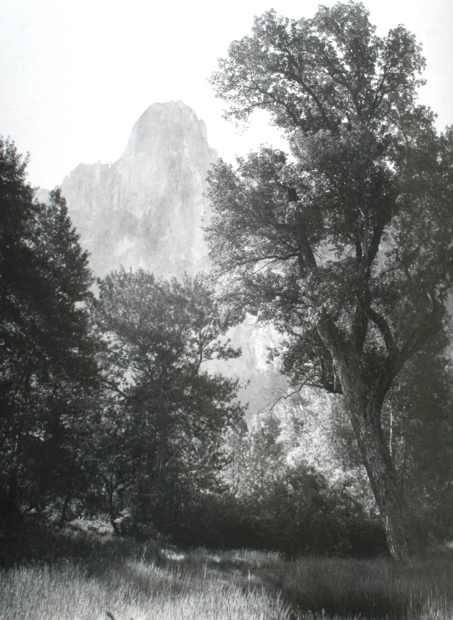 Negative by Ansel Adams In Good Condition In valatie, NY