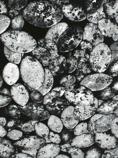 Traces: An investigation In Reason von John a Chakeres, Erstausgabe