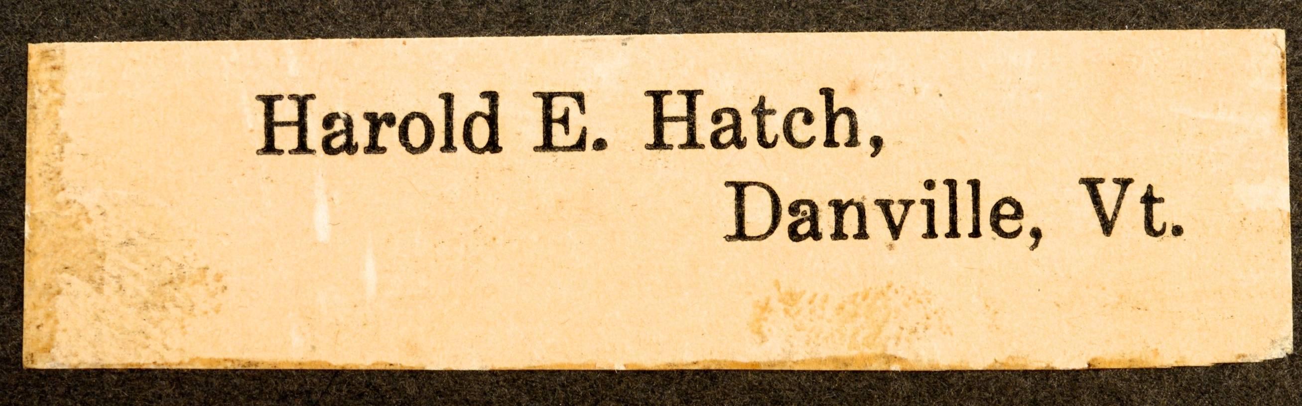 Paire de photographies, Harold E. Hatch, Danville, VT, fin du XIXe-début du XXe siècle Bon état - En vente à valatie, NY