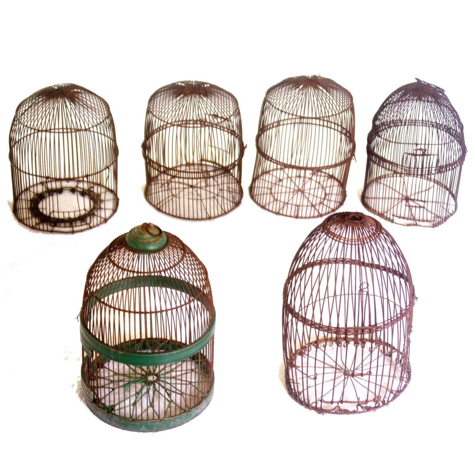 Six Wire Bird Cages For Sale