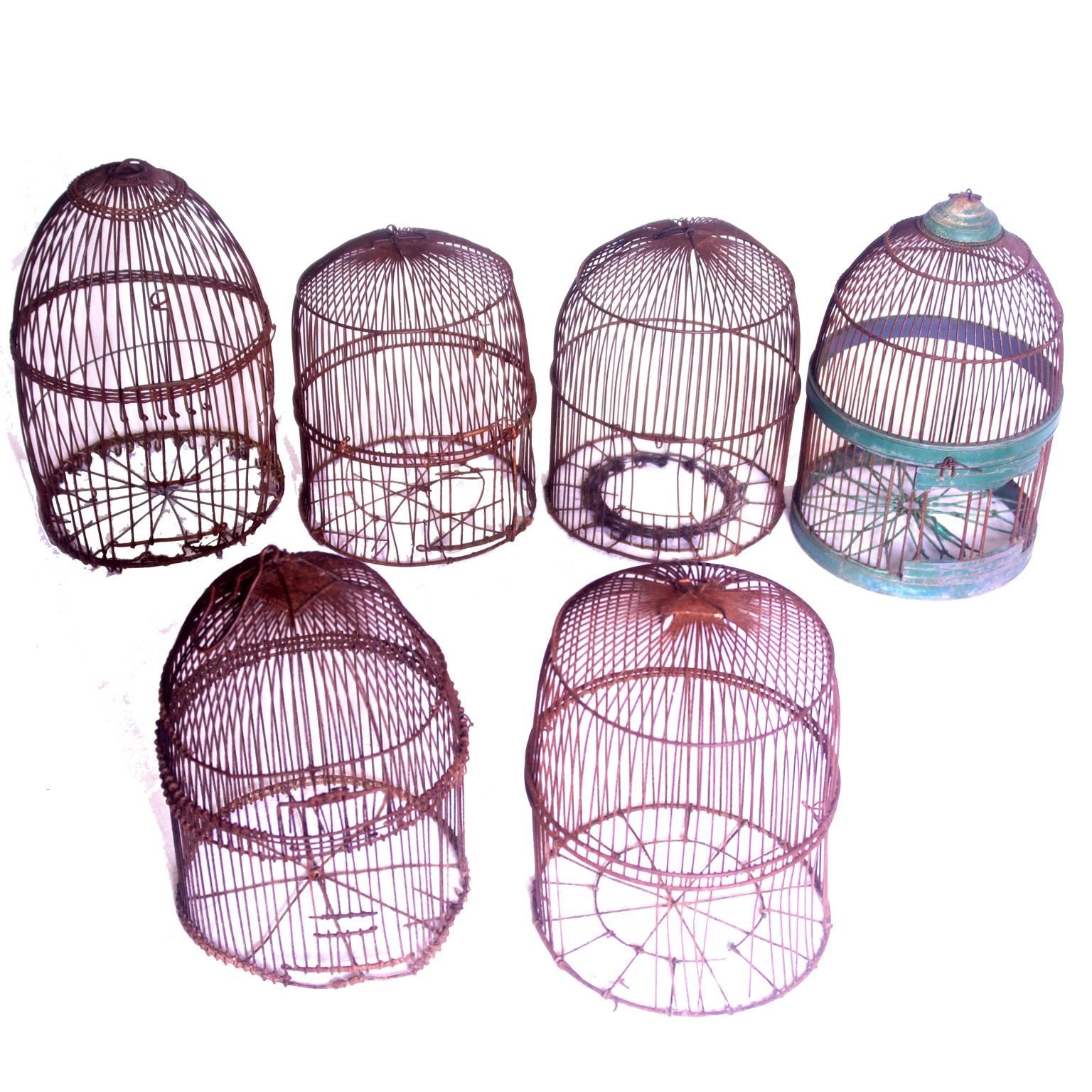 Six Wire Bird Cages For Sale 1