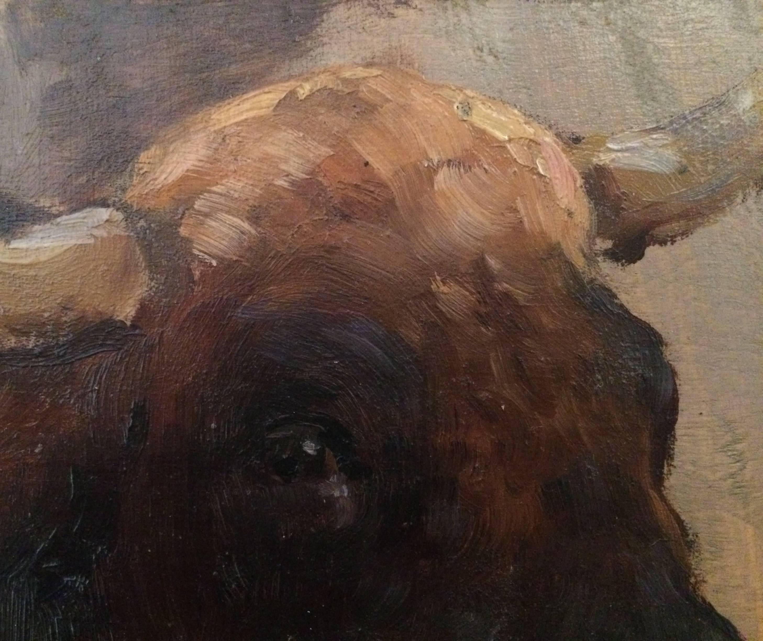 Felix Planquette, 19th Century Charming Study of a Bull In Good Condition In Saint-Ouen, FR