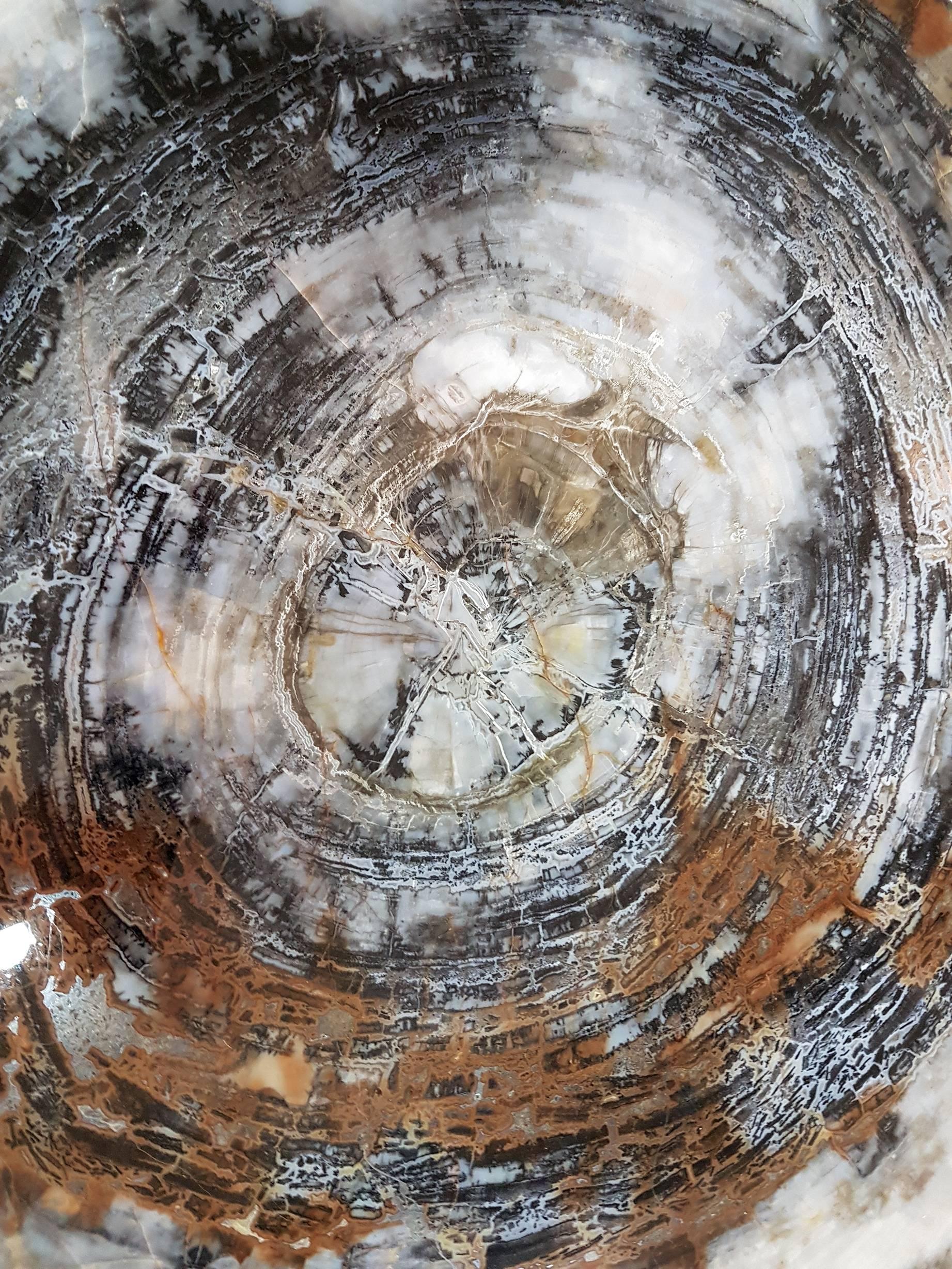 Italienischer Silbertisch des 20. Jahrhunderts. Oberseite ist in braunem Slab  Amerikanisches Sequoia aus Fossil im Angebot 6
