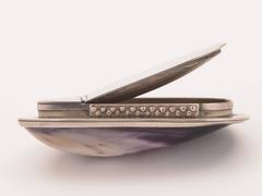 19th Century Victorian Mussel Shell Vesta Case, circa 1890