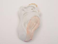 20th Century French Risque Porcelain Soap Dish