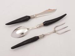 20th Century Antler Handled Serving Set in Case