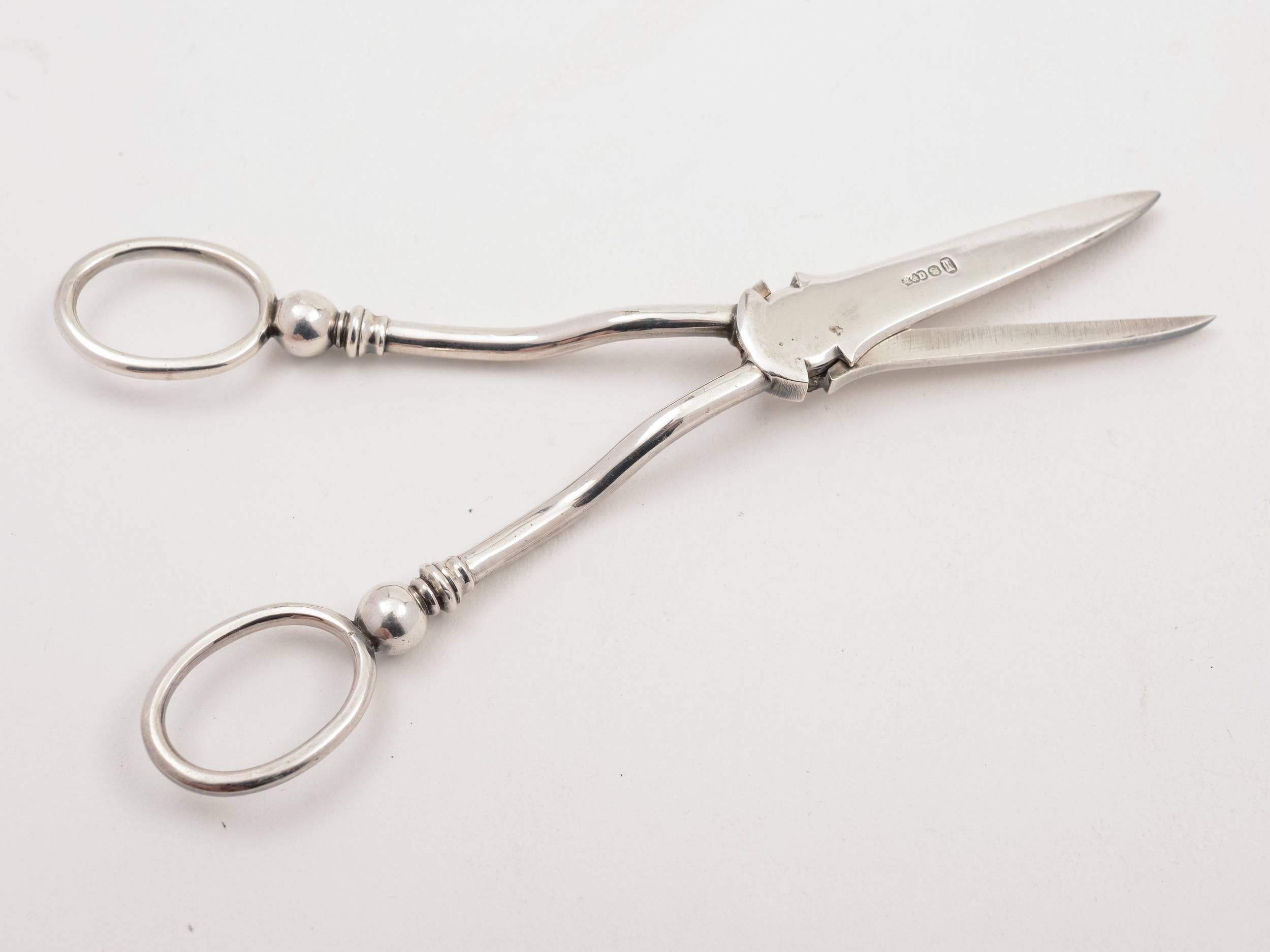 English Cased Pair of 20th Century Edwardian Silver Plated Grape Scissors