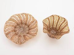 19th Century Venetian Revival Glass Bowl on Stand