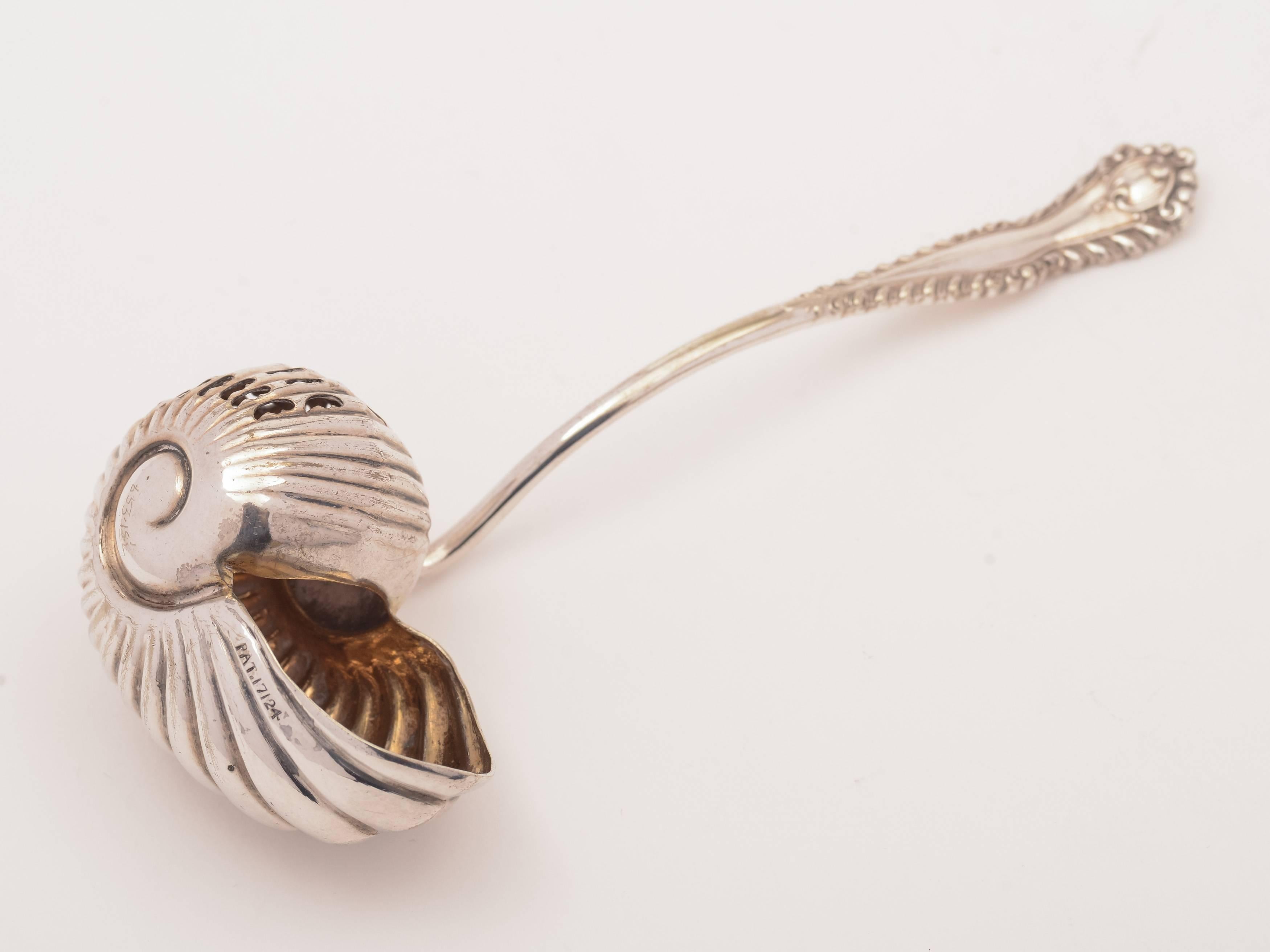 A fabulous English Edwardian silver plated nautilus shell-shaped sugar sifter, circa 1905.

Measurements:
Height 1 1/2