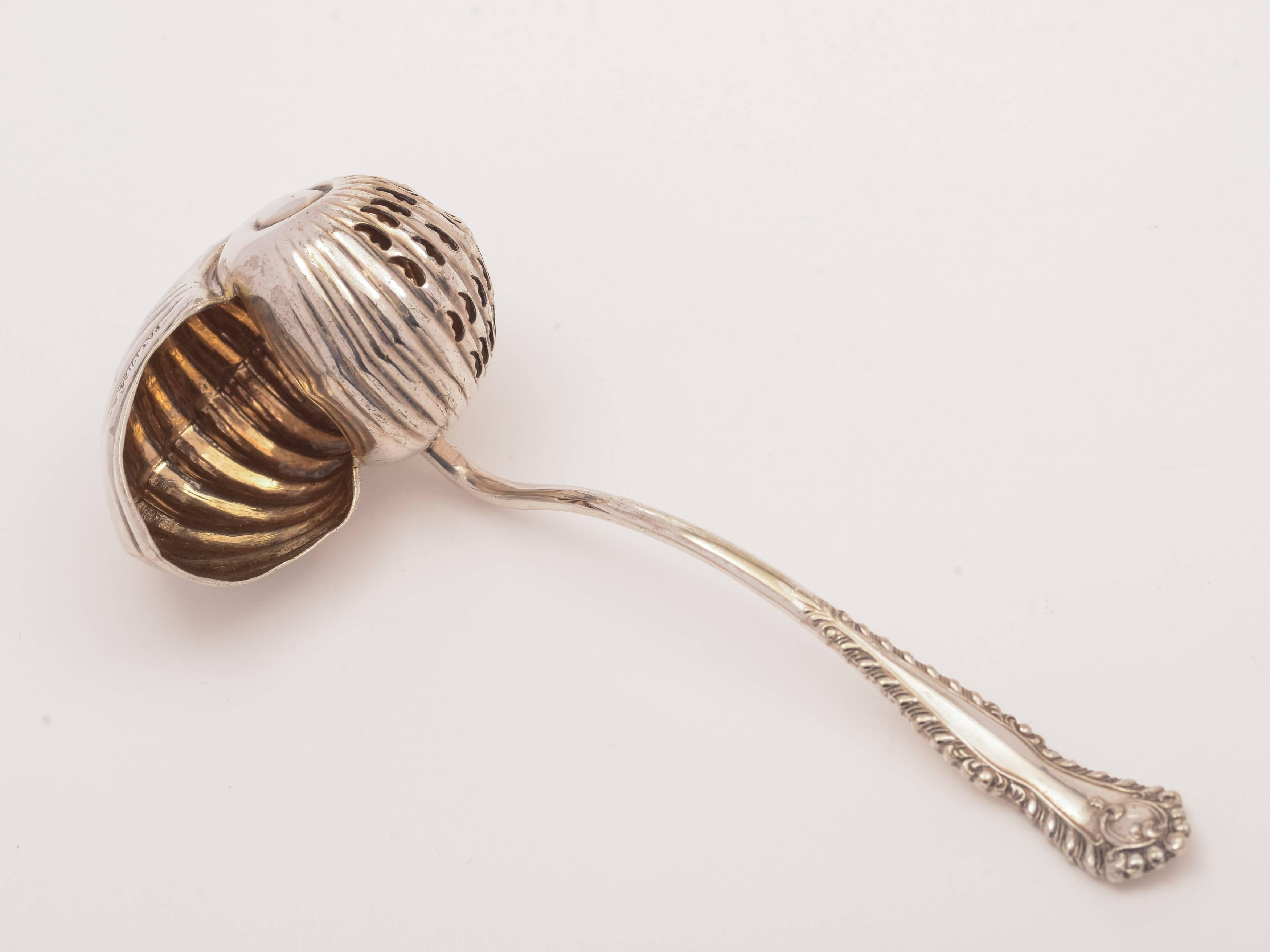 Edwardian Silver Plated Nautilus Shell Sugar Sifter, circa 1905 In Good Condition In Umberleigh, Devon