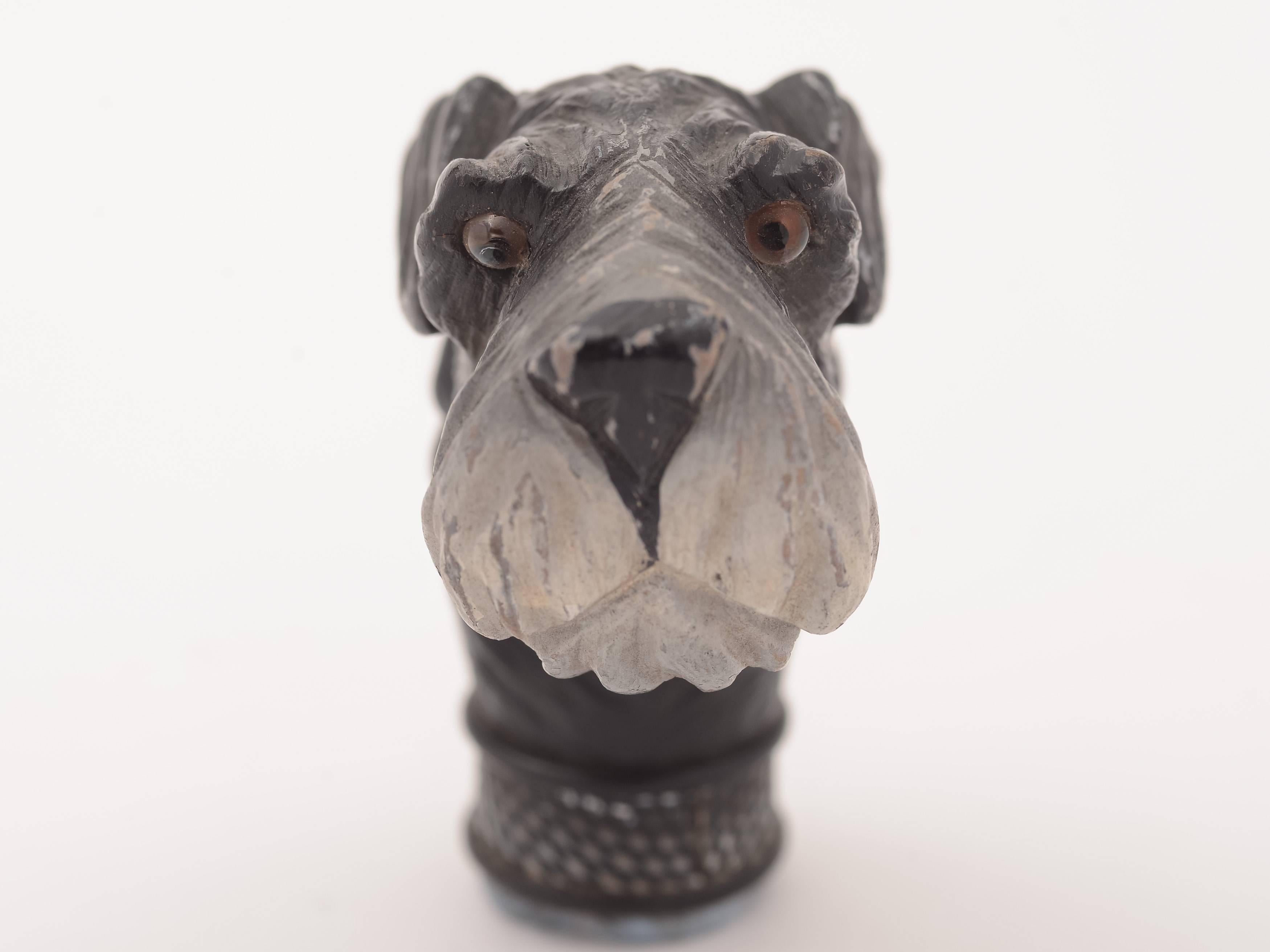 A lovely European carved cane handle in shape of dogs head with glass eyes and painted decoration, circa 1920.



Measurements:
Height: 3