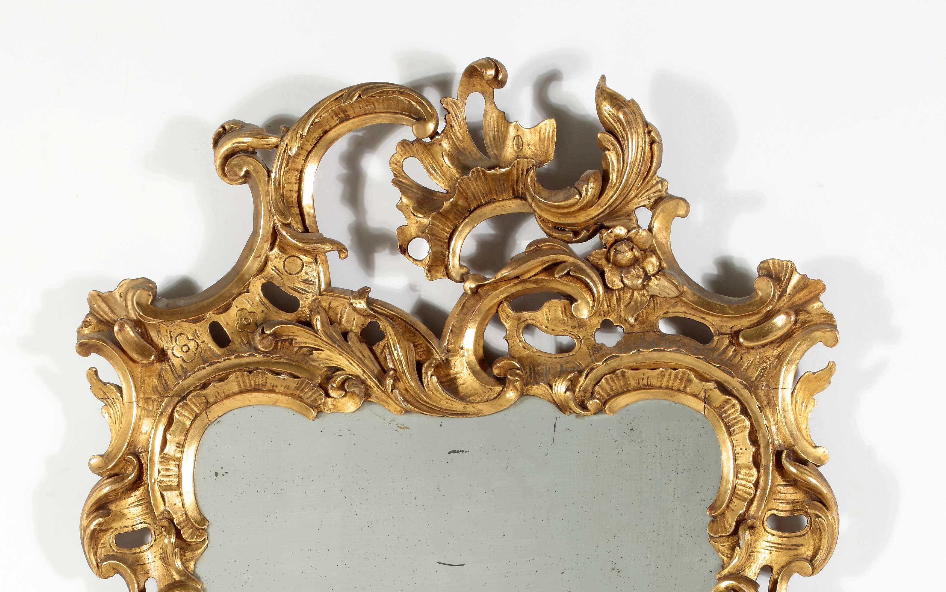 A Fine George II Giltwood Mirror
18th Century

The vertical rectangular plate within the pierce carved foliate frame

Height 52 in.   Width 30 in.

Provenance:
Private Collection, New York

Mir 42