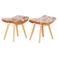Pair of Original Mid-Century Stools, Ash, Well Preserved, Czech, 1960s