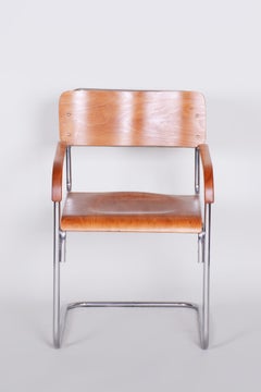 Restored Bauhaus Chair, by Mücke-Melder, Beech, Chromed Steel, Czech, 1930s