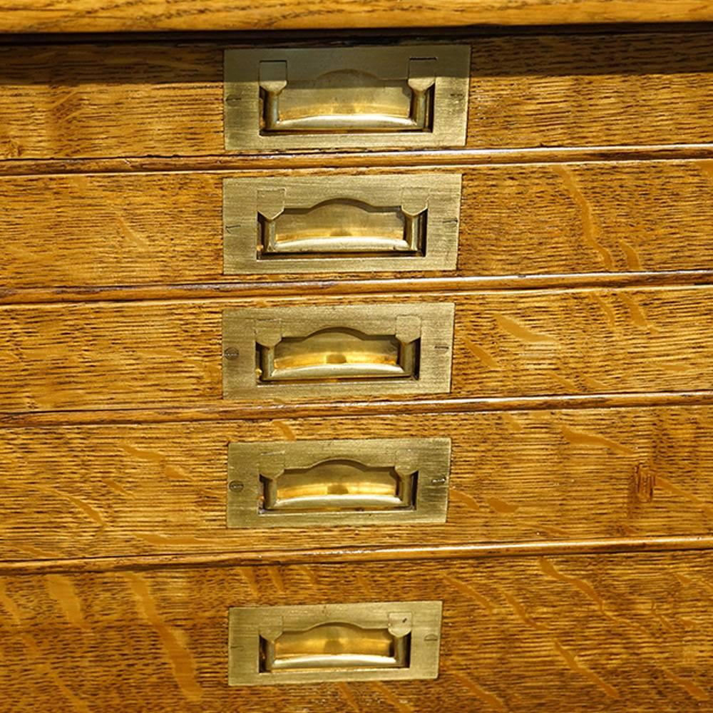Edwardian Oak Collectors Cabinet In Excellent Condition In Salisbury, Wiltshire