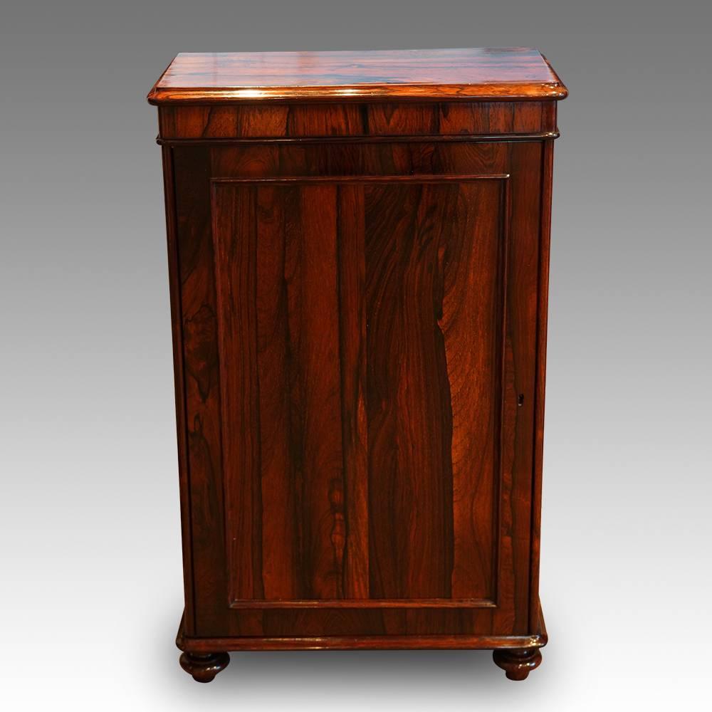 English William IV Rosewood Small One-Door Side Cabinet