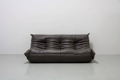 Graphite Leather Togo Sofa Set by Michel Ducaroy for Ligne Roset, 1970s