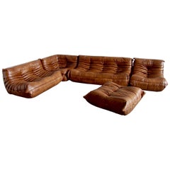 Tobacco Leather Togo Living Room Set by Michel Ducaroy for Ligne Roset